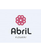 Abril Flowers